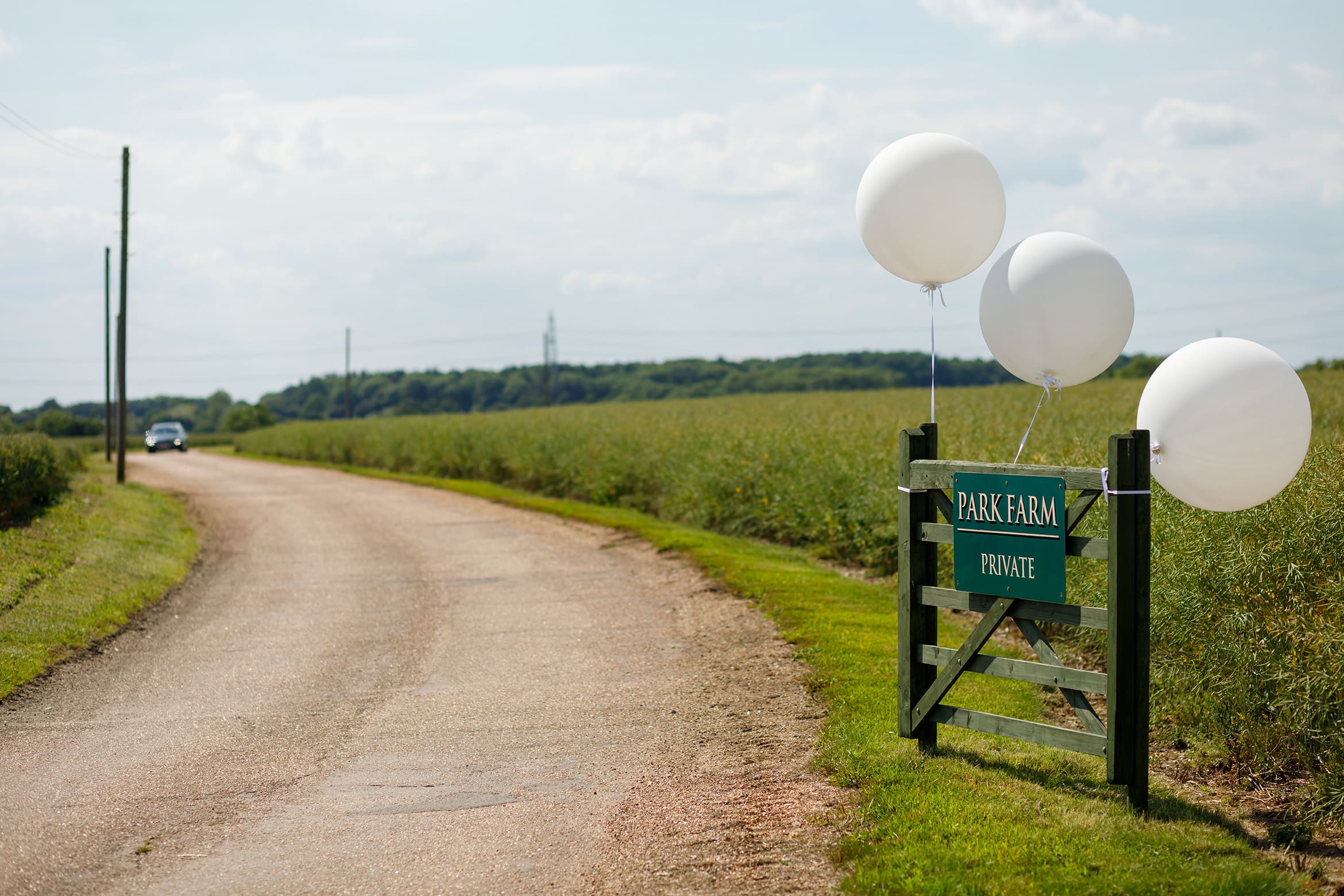 balloons at the entrance to the wedding reception