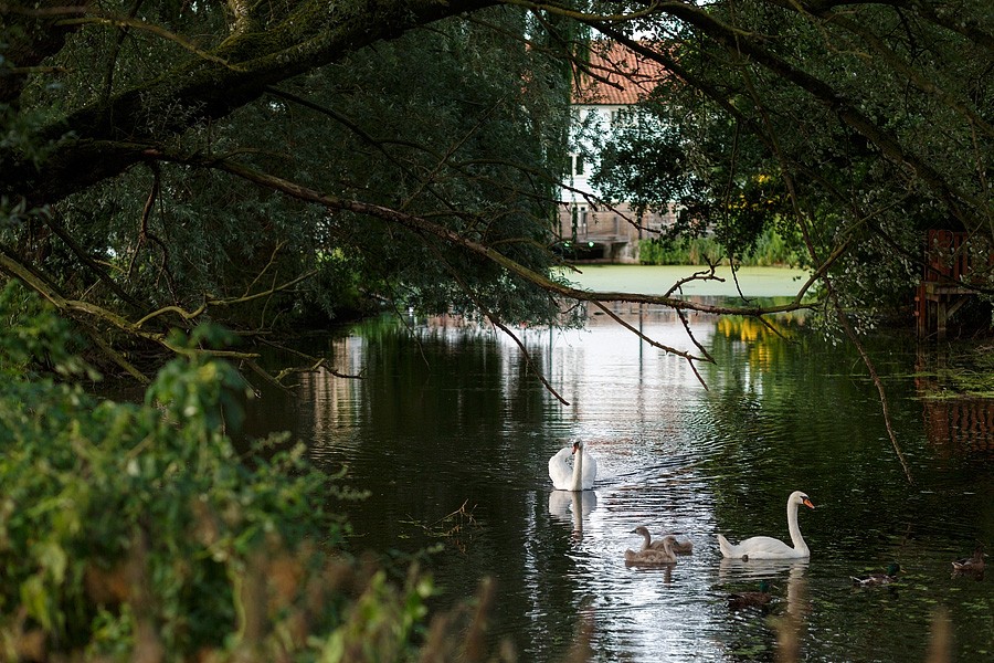 tuddenham-mill-wedding-photos-8883