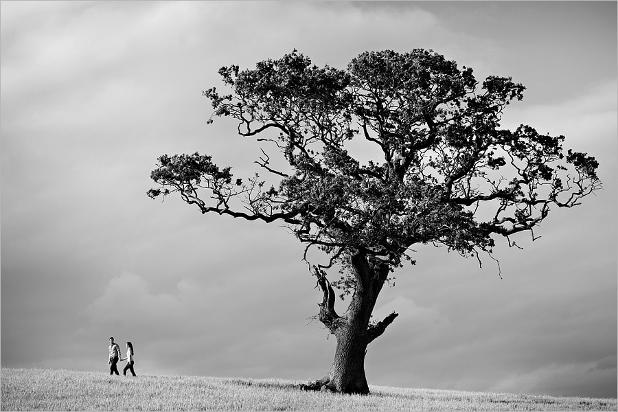 engagment photos near a lonely tree