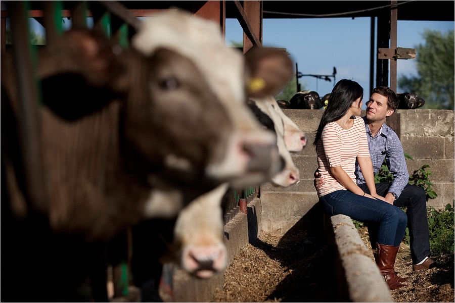 engagment photography on a norfolk farm