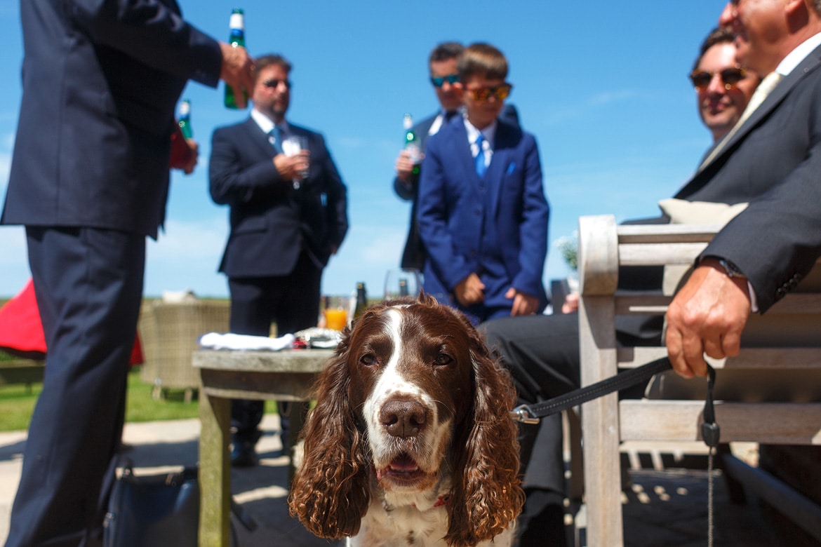 dogs allowed at this cley windmill wedding