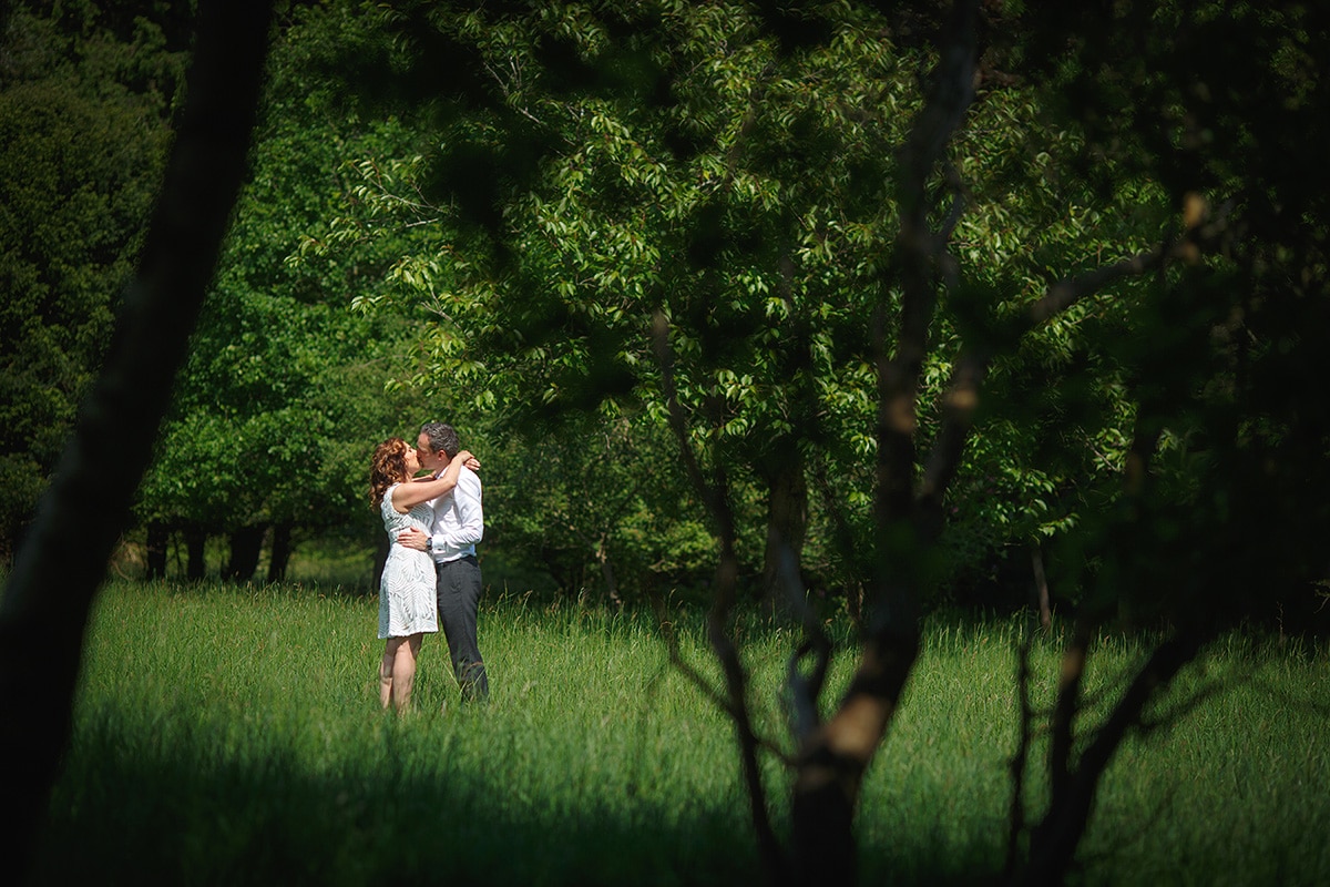 some photos in the trees in hedsor park