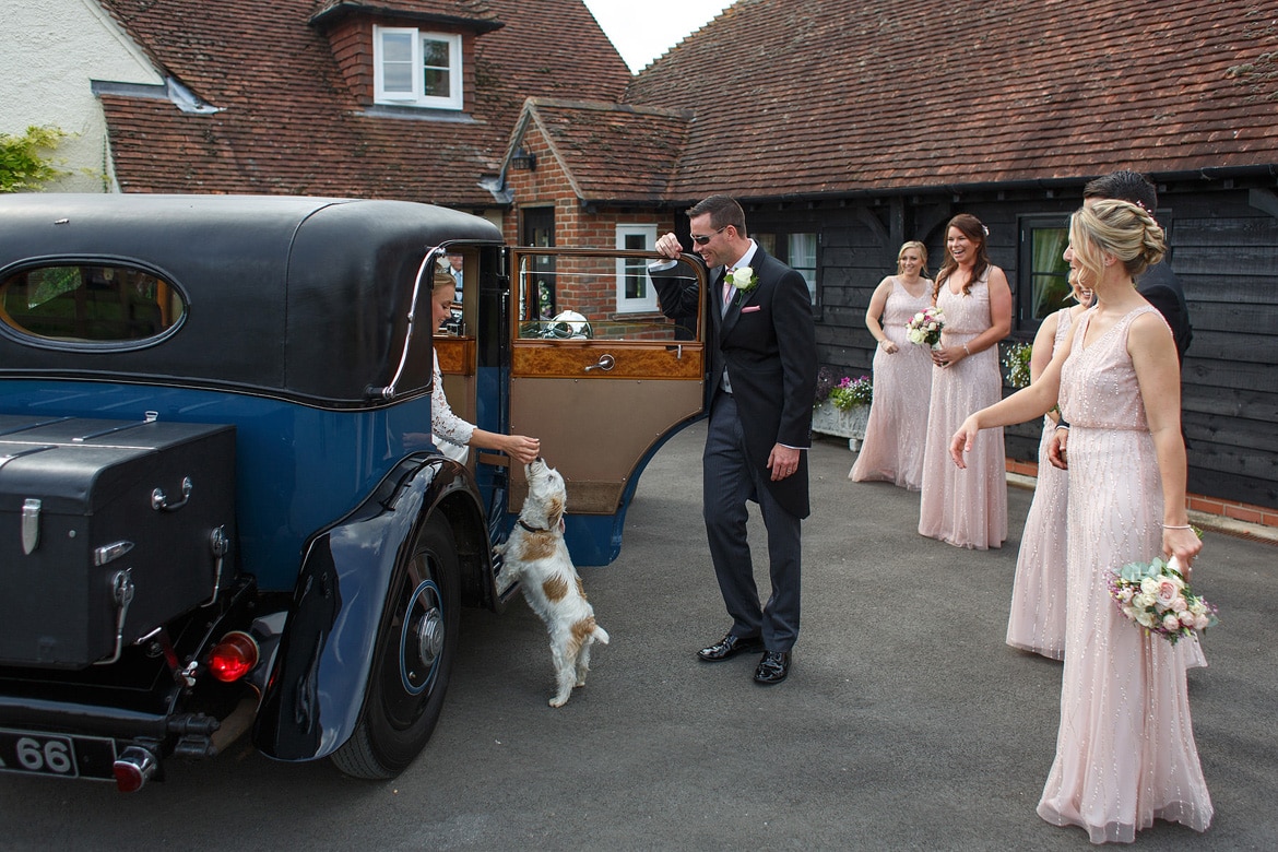 the bride is greeted by the family dog