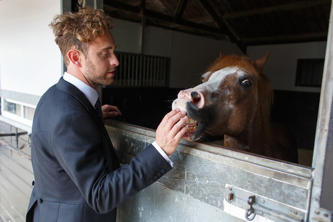 the groom feeds a polo to a pony