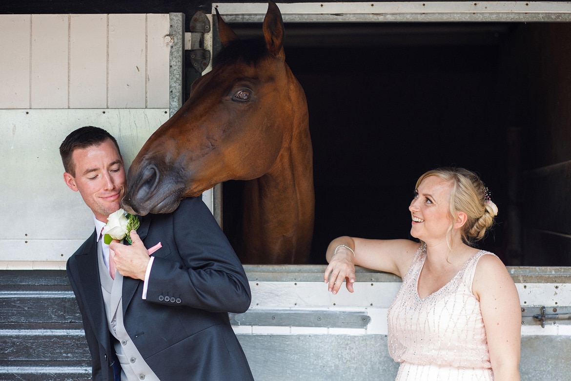 a horse tries to eat marks buttonhole